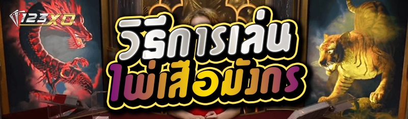 วิธีการเล่นไพ่เสือมังกร